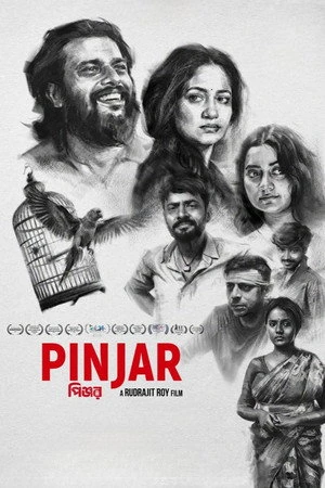 Pinjar 2026 Hindi Line HQ HDTC 720p - 480p - 1080p - Movierulz